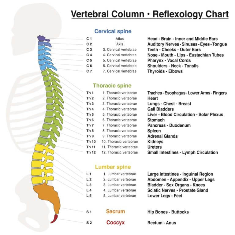 San Antonio, TX Spinal Cord Injury Lawyer | Eric Ramos Law, PLLC